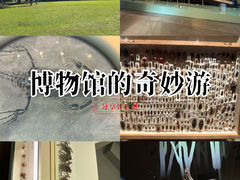 -墨尔本博物馆(Melbourne Museum)