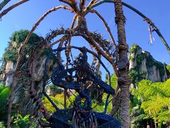 -奥兰多迪士尼动物王国乐园