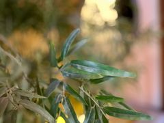 -E+有冰工厂·昆仑寒宫2(五角场店)