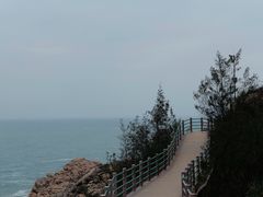 -广东惠东海龟国家级自然保护区
