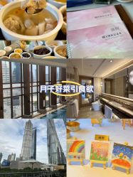 -巍阁高端月子会所