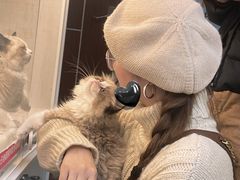 -lincat·猫舍(广州店)