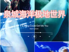 -泉城欧乐堡海洋极地世界