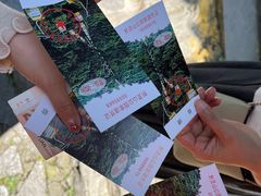 -黔灵山公园