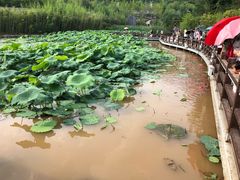 -白鹿原影视城
