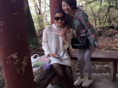 阳岭之巅第二平台-江西阳明山国家森林公园