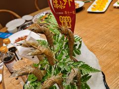 -尚海豆捞(乐虹坊店)