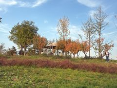 -汉长安城未央宫国家考古遗址公园