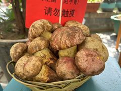 -瑞丰园庭院餐厅·白族传统家常菜