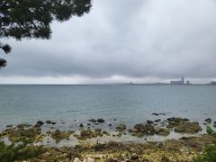 -养马岛旅游度假区