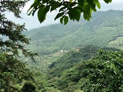 -广州市石门国家森林公园