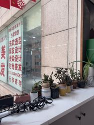 -真好真意SALON 接发·染·烫特色店