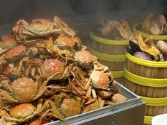 -蓝钻·国际美食海鲜自助百汇(西直门店)