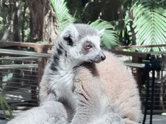 -可伦宾野生动物保护区
