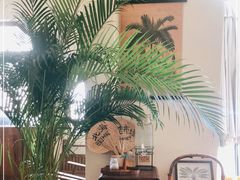 -椰椰大吉(海城店)