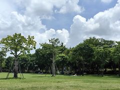 -紫马岭公园