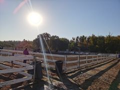 -月河湾马术俱乐部(朝阳店)