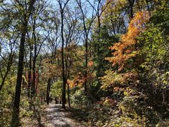 -玉渡山自然风景区