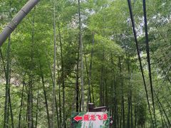 -藏龙百瀑风景区