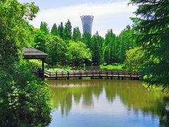 -上海滨江森林公园