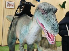 -自贡恐龙博物馆