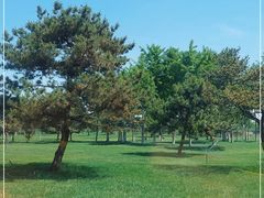 -石家庄市植物园