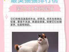 -美联众合动物医院·24h转诊中心