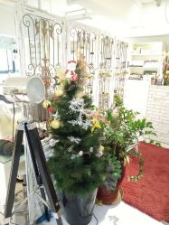 -京都造型·烫发·染发
