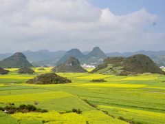 -牛街螺丝田