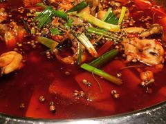 -宽口美蛙鱼头(大唐西市店)