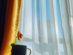 -麦当劳(中山八路店)