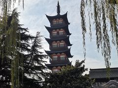 -秋霞圃