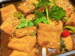 -雀舞云南菜(乐客城店)