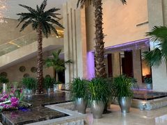 -常州环球恐龙城维景国际大酒店
