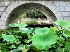 -莲湖公园