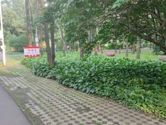 -黑龙江省森林植物园