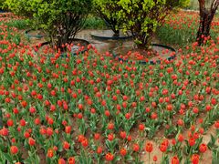 -廊坊文化艺术中心