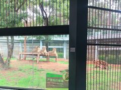 -昆明动物园