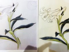 作品-谷隆画舍·国画书法素描彩铅水彩
