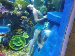 -成都浩海立方海洋公园