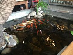 -山有花啡餐厅(常营总店)