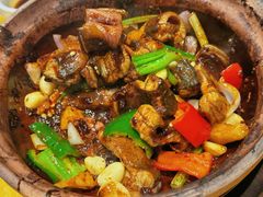 -天宝食坊·啫啫煲大排档(西华路店)