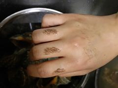 -鑫福隆生鲜超市(沈营大街店)