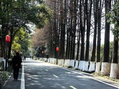 -西溪国家湿地公园