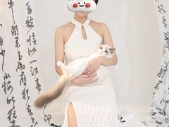 -猫遇摄影工作室