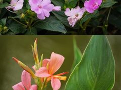 -人民公园(罗湖区)