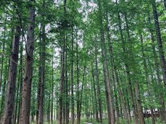 -上海交通大学(闵行校区)