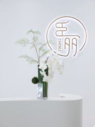 -臣丽纹眉品牌连锁