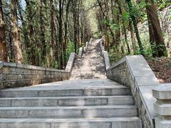 -四门塔风景区