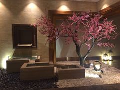 -爱乐国际温泉水疗会